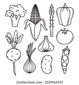 Doodle vegetables vector set. Collection of vegetables broccoli, corn, pepper, onion, garlic, asparagus. Hand-drawn style isolated on white background.