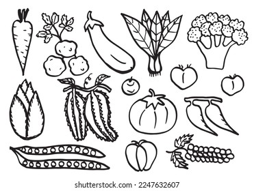 Doodle vegetables. Vector sketch illustration of healty food.