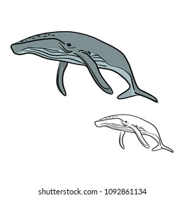 doodle whale vector illustration sketch doodle hand drawn with black lines isolated on white background