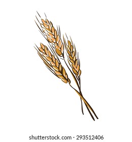 doodle wheat spikelets isolated on a White Background