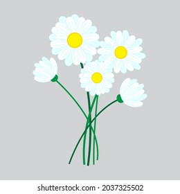 Daisies blancos de garabatos para el diseño de impresión. Ilustración vectorial floral de primavera. Impresión Ditsy. Ilustración del icono del vector. 
