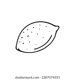 Doodle of whole lemon isolated on white background. Hand drawn vector illustration of citrus.