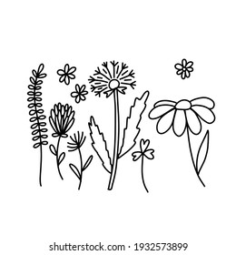 Doodle-Wildblumenset: Gänseblümchen, Kamille, Klee, Buttercup. Wiesenblumen rustikaler Bauernstrauß
