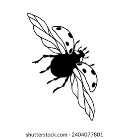 Doodle of winged insect ladybug.Vector graphics.