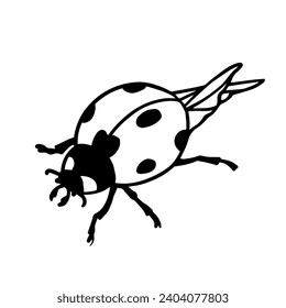 Doodle of winged insect ladybug.Vector graphics.