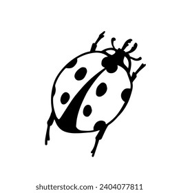 Doodle of winged insect ladybug.Vector graphics.