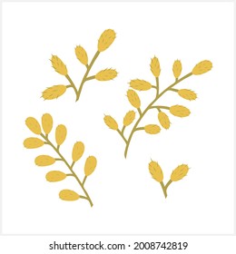 Doodle wollow branch set icon isolated on white. Hand drawn line art. Flower cartoon. Vector stock illustration. EPS 10