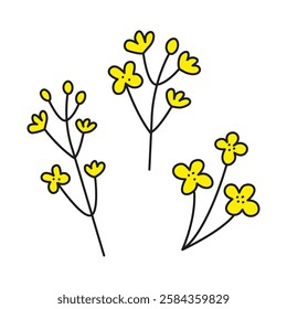 Doodle yellow rapeseed canola flowers isolated on white background.