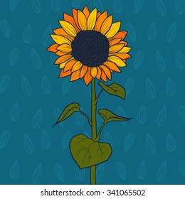 Doodle yellow sunflower isolated on a blue background