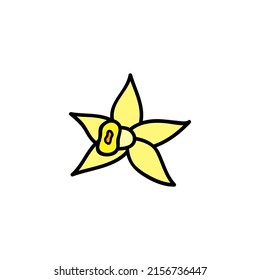 Doodle yellow vanilla flower isolated on white background.