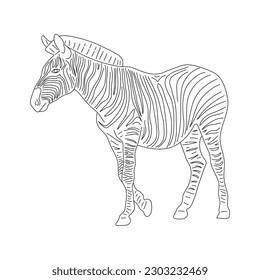 Doodle of Zebra. Hand drawn vector illustration.
