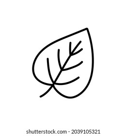 Doodle-a linden leaf icon. Contour image of the fallen leaves of a tree. Simple black drawing of plants for stickers, decor, postcards, badges, coloring books, logos. Vector clipart of plants