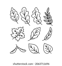 Doodle-an icon of the leaves of different trees. Contour image of fallen leaves of oak, maple, elm, birch, rowan, willow. black drawing of plants for stickers, decor, postcard. Vector clipart of plan