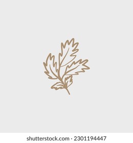 Doodle-an icon of the leaves of different trees. Contour image of fallen leaves of oak, maple, elm, birch, rowan, willow. black drawing of plants for stickers, decor, postcard. Vector clipart of plan