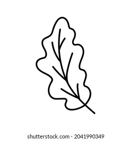 Doodle-an icon of a maple leaf. Contour image of the fallen leaves of a tree. A simple black drawing of plants for stickers, decor, postcards, badges, coloring books, logos. Vector clipart of plants