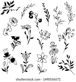 Doodled flowers, plants, tree branches and floral elements. Black and white  graphic design elements.Hand drawn botanical illustration. 