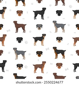 Doodleman Pinscher seamless pattern. Doberman Pinscher Poodle mix. Different coat colors set.  Vector illustration