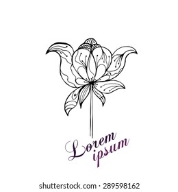 Doodles abstract decorative sketch vector background.Corporate Identity templates set with doodles sketchy 