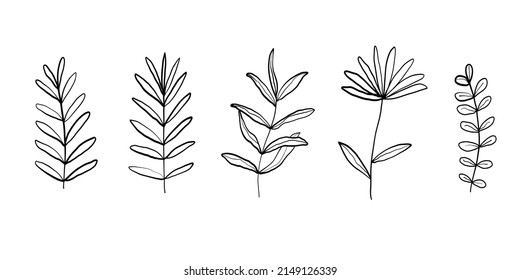 Doodles branches collection isolated line set. Hand drawn vector illustrations. Sketch for a tattoo.