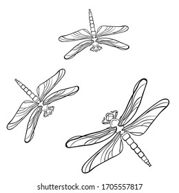 Doodles Design Dragonfly Design Element Adult Stock Vector (Royalty ...