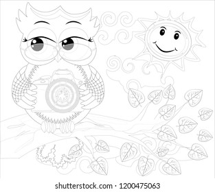 Doodles design of a photographer owl taking photo. coloring book for adult, card,poster,banner