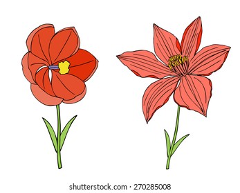 Flower, Vector | Stock Photo and Image Collection by frescomovie