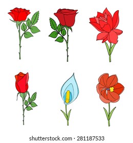 Doodles Flowers collection. Vector illustration, Isolated on white
