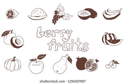 doodles fruit large selection on white background vector work