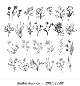 Doodles Herbs and flowers, set of hand-drawn flowers, floral set of wildflowers and herbs, vector objects isolated on a white background.