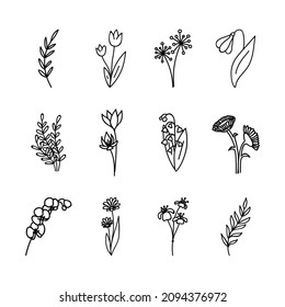 Doodles Herbs and flowers, set of hand-drawn flowers, floral set of wildflowers and leaves, vector objects isolated on a white