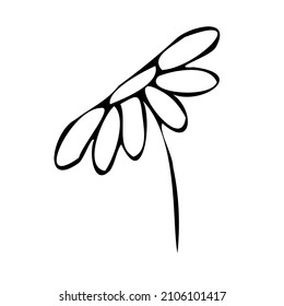 Doodles leaves flowers black line . Abstract collection of flowers and leaf in continuous line art drawing style.