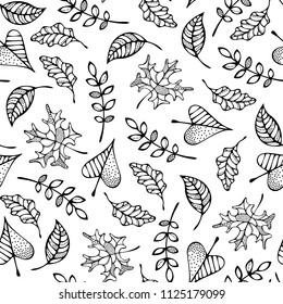 Doodles maple, oak, ash, rowan and linden leaves on white background. Fall boundless background. Tileable elements.