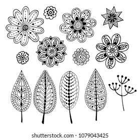 Doodles plants vector leaf and flower.Set of hand botanic elements.Black isolated illustration on white background