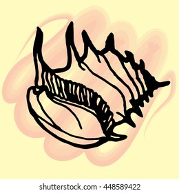 Doodles seashells on a white background.