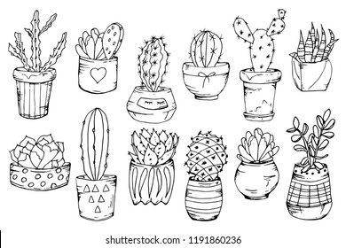 Doodles vector cacti and succulents set. Sketchy illustration. Line art hand drawing.