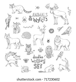 Doodles woodland set of animals and insects. Cute outlined mammals and birds. Moose, bear, fox, wolf, deer, owl, hare, squirrel, raccoon, nest, ladybug, hedgehog. Can be used for colouring books.