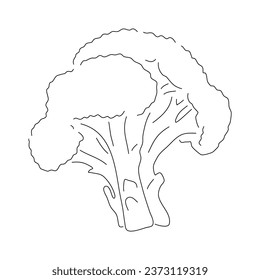 Doodle-style broccoli icon with a hand-drawn black sketch. Vector editable stroke.