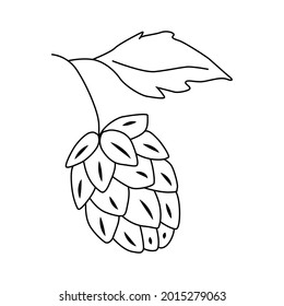 Doodle-style hops with leaf. Design element for beer, logo, label, sign, poster, flyer. Vector illustration hand-drawn by a contour