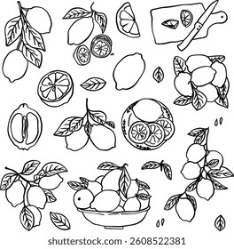 doodle-style illustration of a lemon