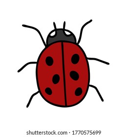 A Doodle-style ladybug isolated on a white background. Family of beetles. Convex oval body with black spots. Can be used for printing on t-shirts or other clothing or fabric. Vector illustration.