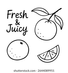 Doodle-style vector set of oranges with slice and handwritten Fresh and juicy lettering. Fun hand-drawn ink art for labels, prints, summer branding, juice packaging, and food design.