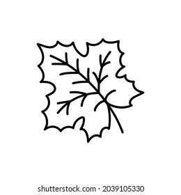 Doodle-the maple leaf icon. Contour image of the fallen leaves of a tree. Simple black drawing of plants for stickers, decor, postcards, badges, coloring books, logos. Vector clipart of plants