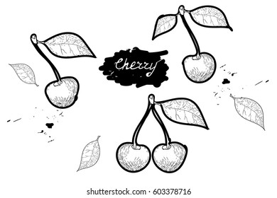 Doodle.vector illustration. black and white drawing of fruits. cherry.