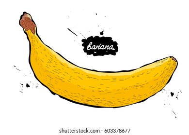 Doodle.vector illustration.  drawing of fruits. banana.