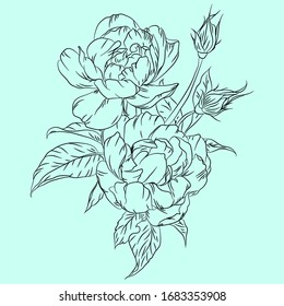 Doolpflanzen. Rose auf blauem Hintergrund