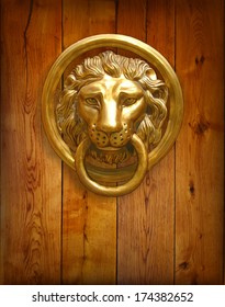 The door handle - the head of a lion. Vector illustration.