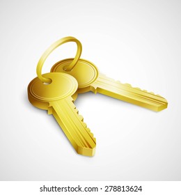 Door keys isolated on white background EPS 10