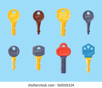 Door security key vector isolated icon.