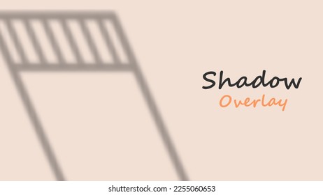 Door shadow on blank wall realistic overlay. Shadow effect template for background. Vector illustration. EPS 10.