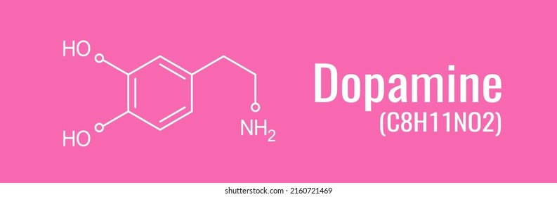Dopamine chemical formula, vector scheme of dopamine molecular structure